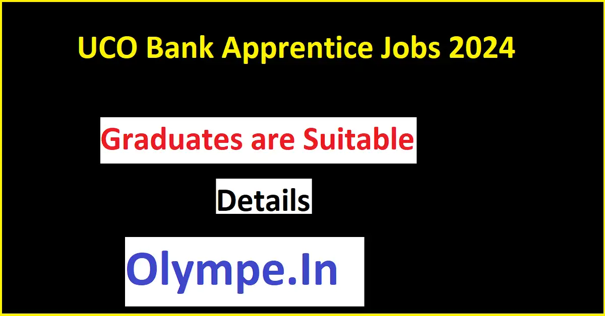 UCO Bank Apprentice Jobs 2024